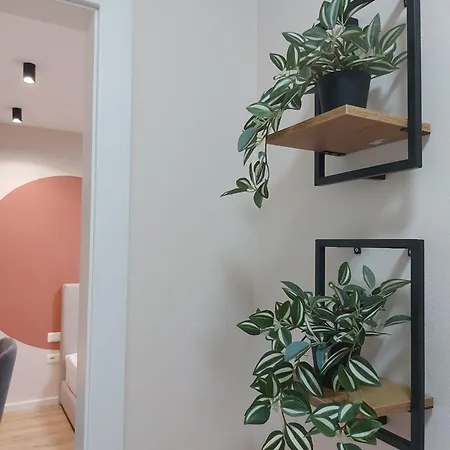 Center Cozy Nest 3*