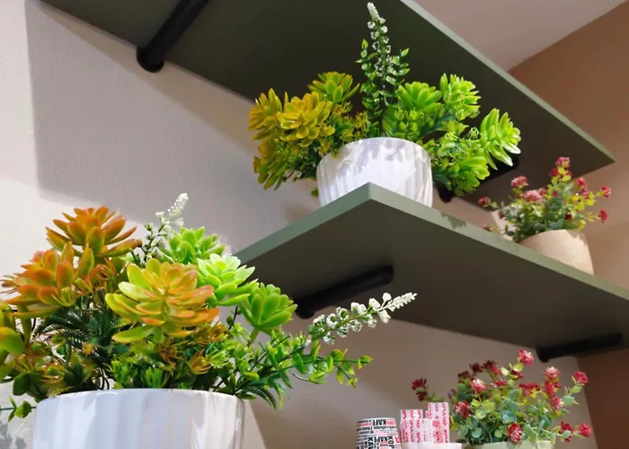 Гостевой дом Center Cozy Nest 3*