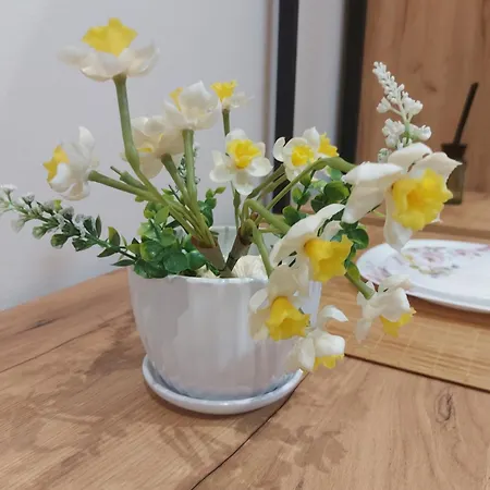 Center Cozy Nest 3* Tiran