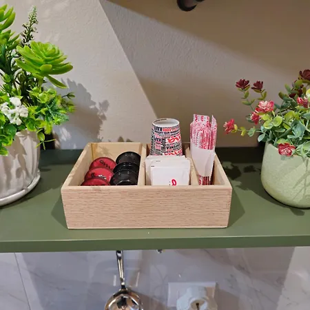 Center Cozy Nest 티라나