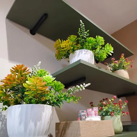 Konukevi Center Cozy Nest 3*