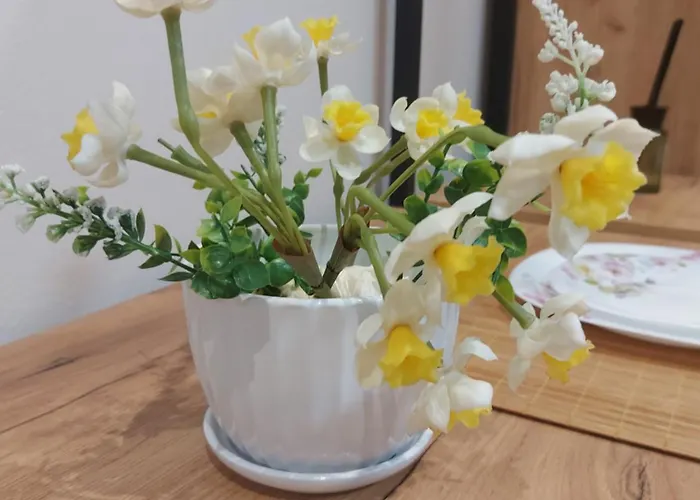 Center Cozy Nest 3* Τίρανα